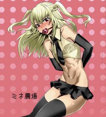 inran seibo mariyasama cover