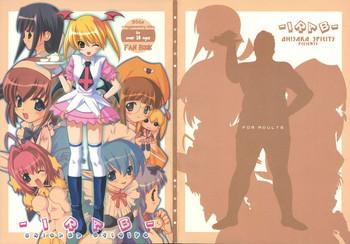 irab cover