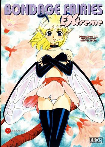 bondage fairies extreme 11 cover