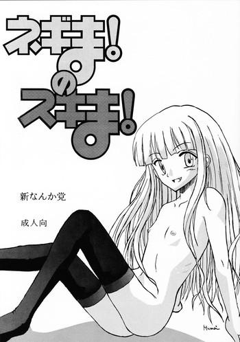negima no sukima cover