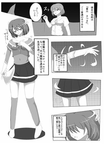 cover 24