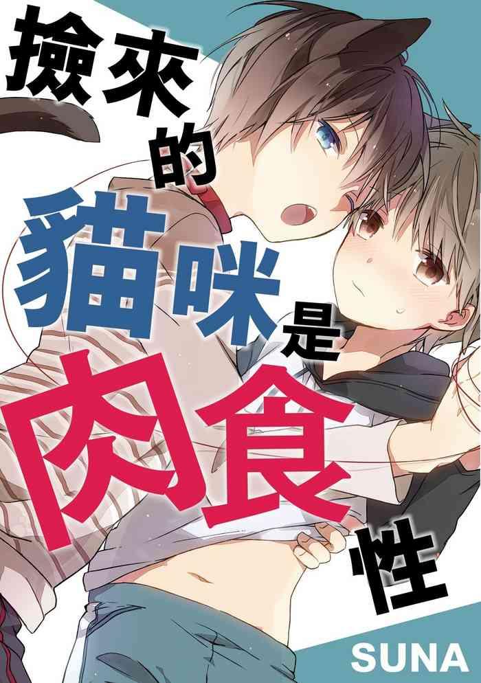 hirotta neko wa nikushokudeshita 2 kan cover