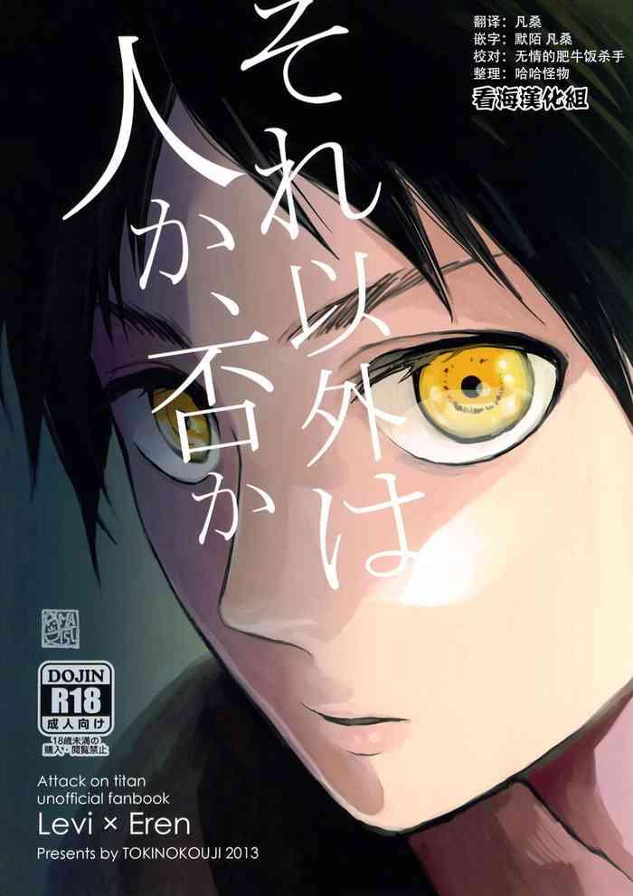 fall of wall2 tokinokouji omatsu sore igai wa hito ka ina ka shingeki no kyojin chinese cover