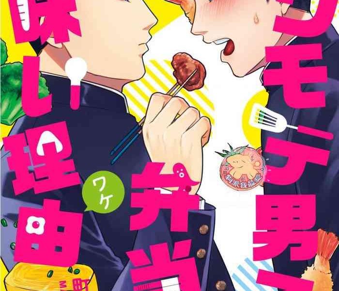 kowamote danshi no bentou ga umai wake 3 3 cover