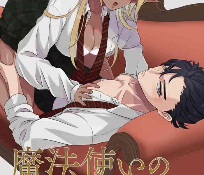 wizard x27 s love affairs cover